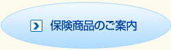 �ی����i�̂��ē�